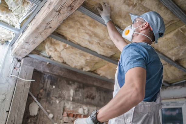 Best Spray Foam Insulation in Venice, IL