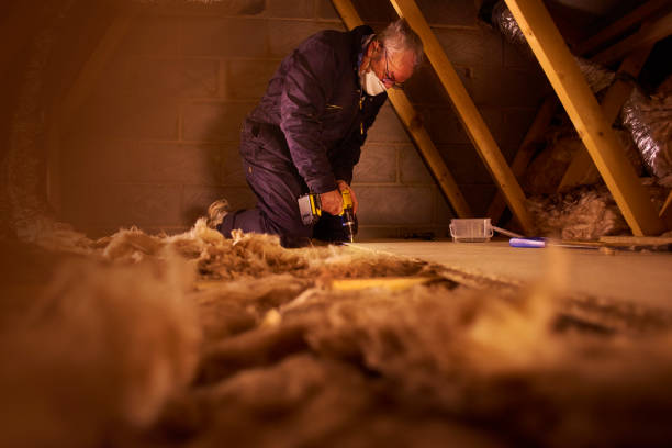 Best Residential Insulation in Venice, IL